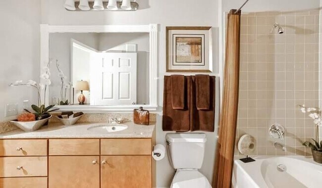 Foto del edificio - 1 bedroom in Webster TX 77598