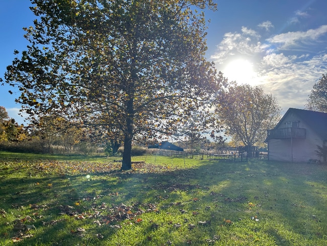 Building Photo - 4309 Williams Rd