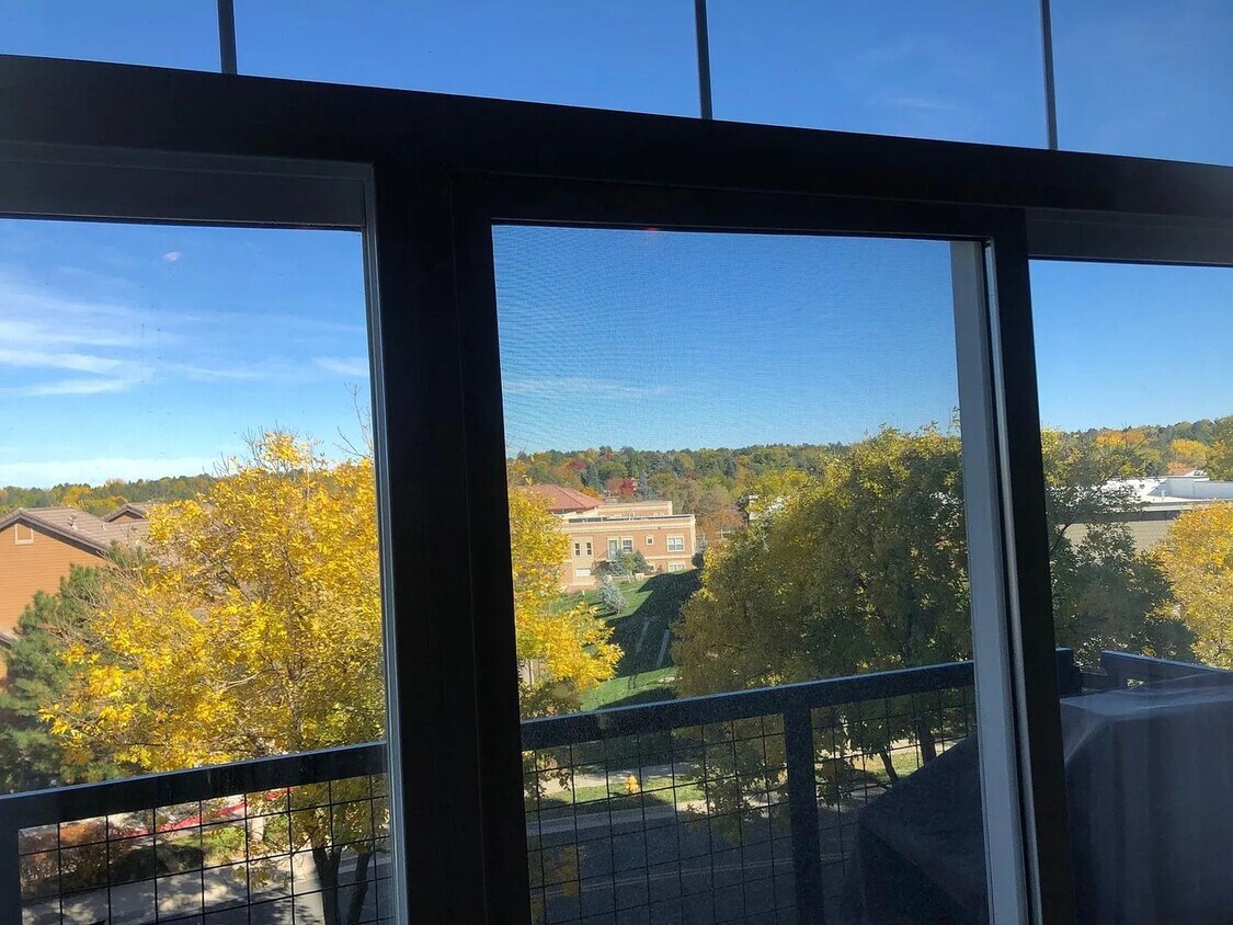 Primary Photo - Spacious Condo with Private Balcony & Carp...