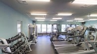 This fitness center offers a comprehensive exercise environment designed to support a variety of workout routines. The space is finished with light teal walls and illuminated by a grid of overhead fluorescent fixtures that ensure consistent, bright lighting throughout. Dark rubber flooring provides a durable, non-slip surface suitable for both cardio and strength training activities. A full-length mirrored wall along one side visually expands the room while allowing users to monitor their form during workouts. Multiple windows along the perimeter wall invite natural light into the space, enhancing the overall atmosphere. The cardio section includes several treadmills and at least one elliptical machine, catering to endurance and low-impact training needs. The strength training area features a multi-station cable machine and a dedicated free weights section with a rack of dumbbells, accommodating a range of resistance exercises. A television is mounted on the wall, providing entertainment during workouts. The layout is organized to allow comfortable movement between equipment, making the fitness center practical and accessible for users of varying fitness levels.