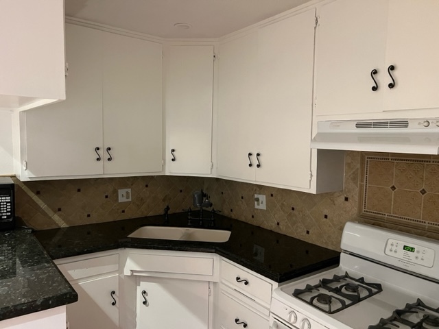 Just a close-up of the kitchen sink and backsplash. - 5545 1/2 Allott Ave