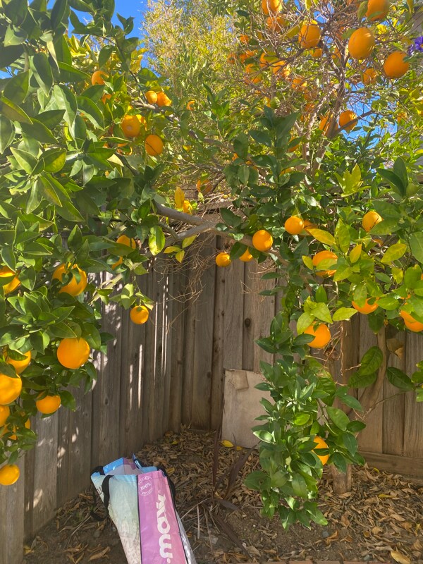 Building Photo - 0Hidden Grove