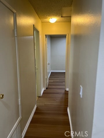 Building Photo - 313 Wilma Cir