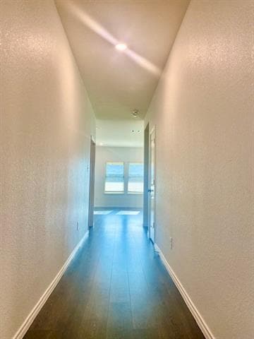 Building Photo - 113 Alydar Ln