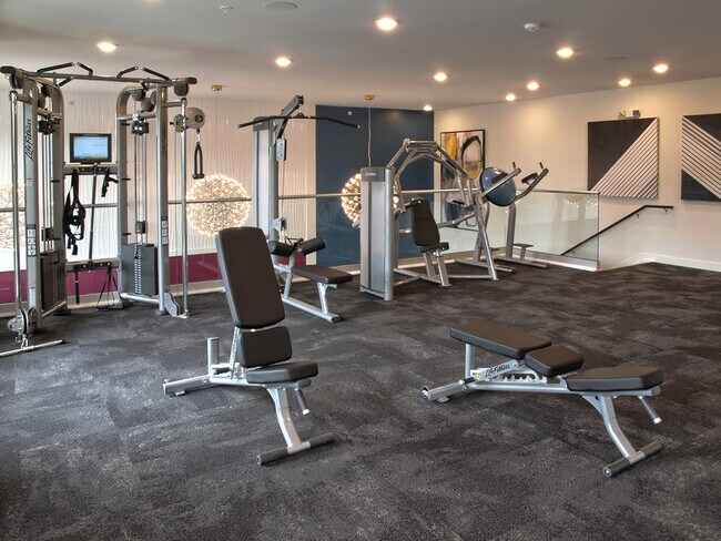 Gym - 301 Courtin Dr