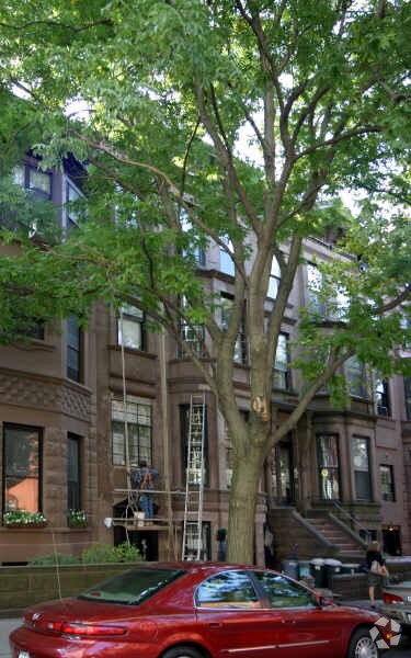 Primary Photo - 868 President St
