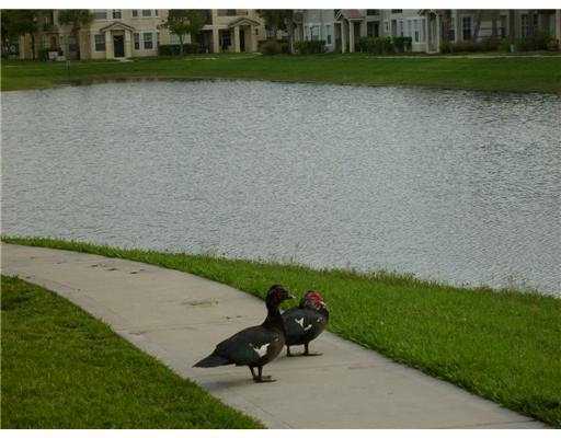 Foto del edificio - 2307 Belmont Ln