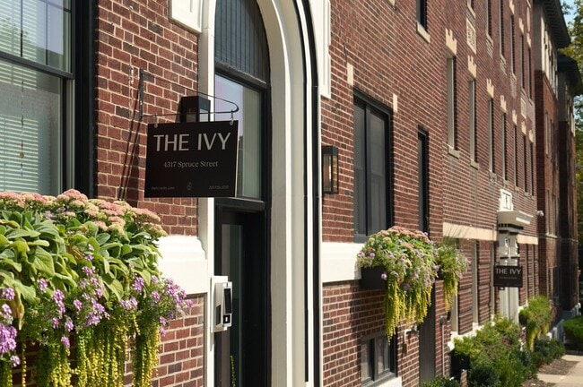 Building Photo - The Ivy - University City
