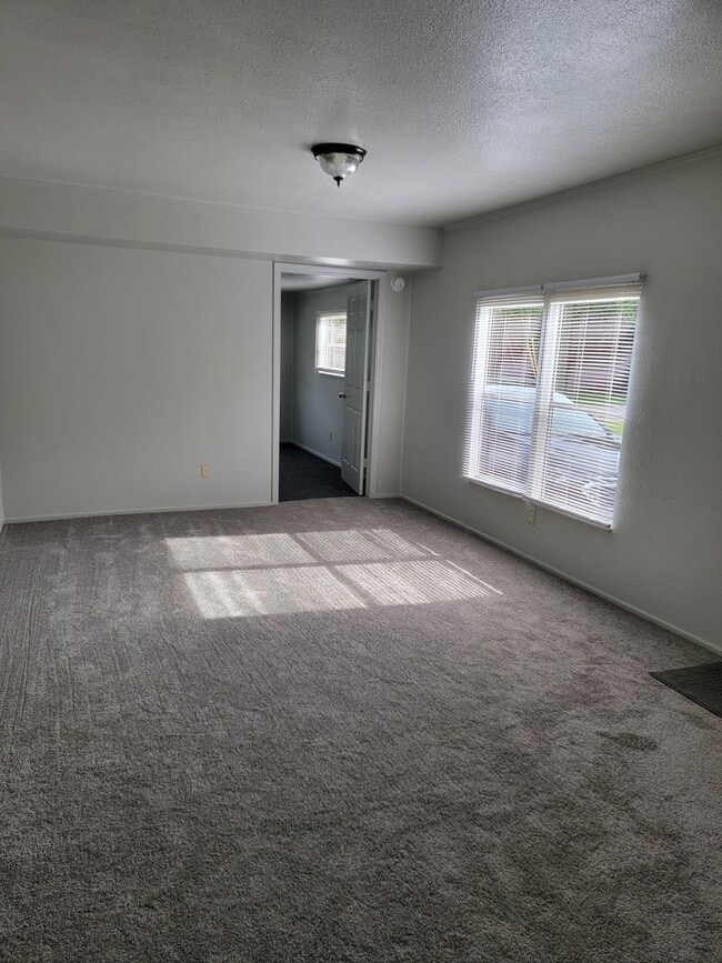 Building Photo - Completely Renovated HUGE 1/1!!!
