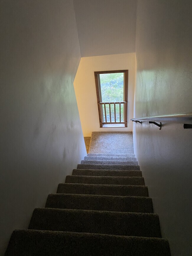 Building Photo - 10429 Bear Paw Dr