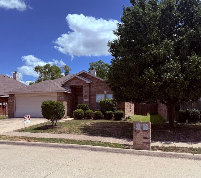Building Photo - 12736 Northern Pine Dr