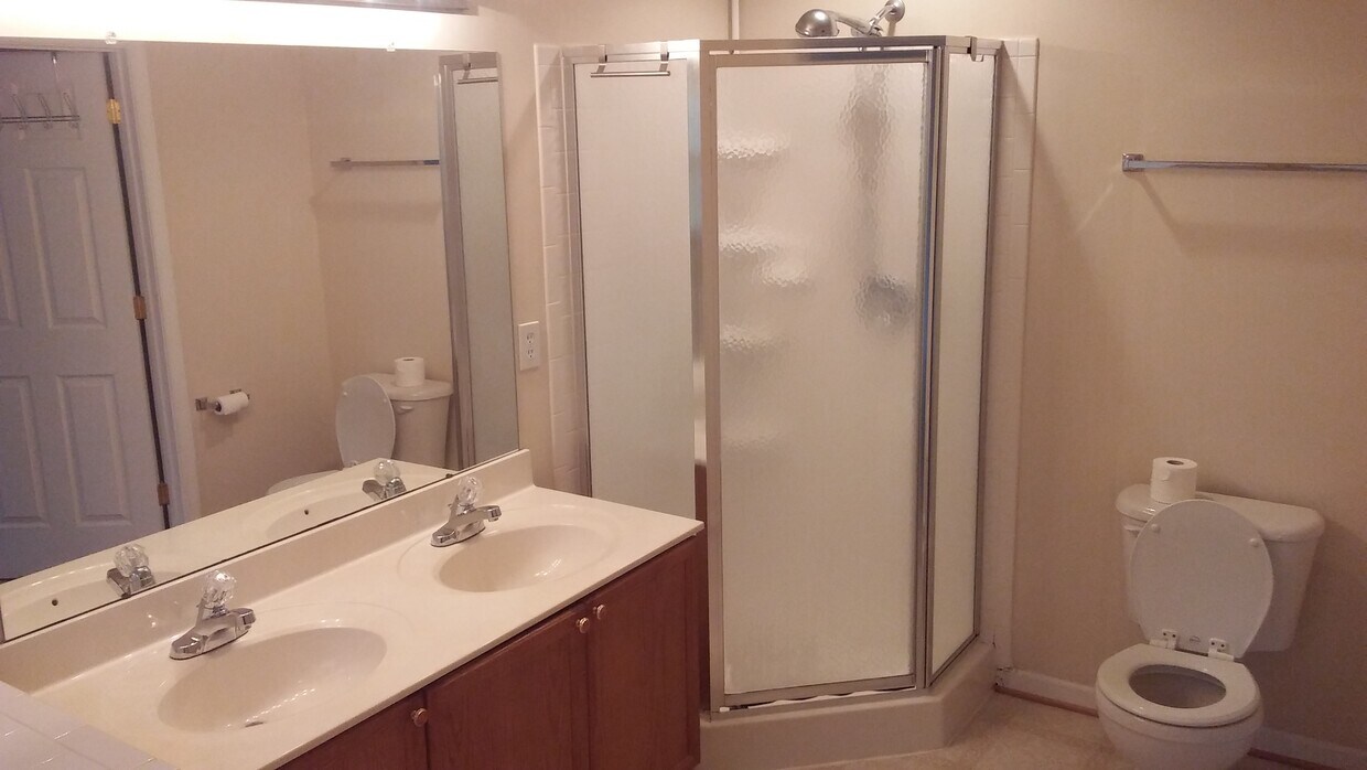 Master bath - 117 Dunlap Drive