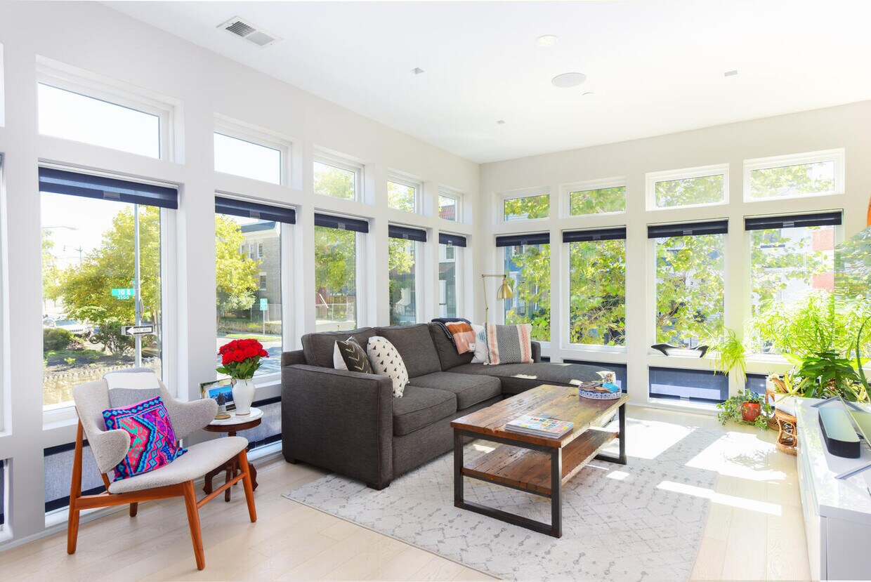 Living space with tons of light (custom shades from The Shade Store). - 1001 Monroe St NW