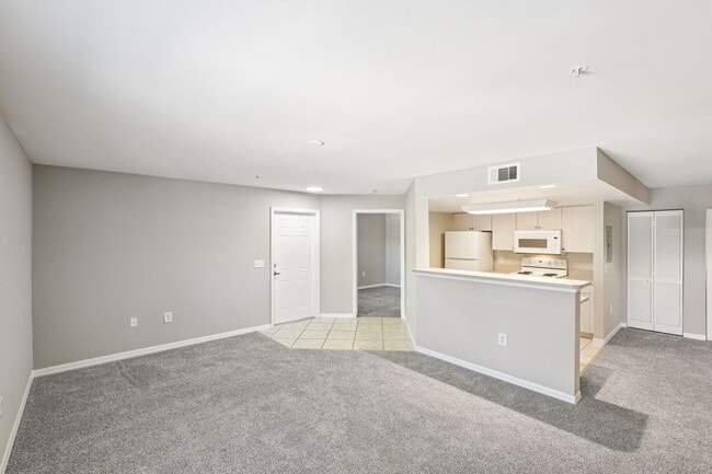 Interior Photo - Coral Cove