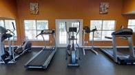 This fitness center is designed to provide a functional and motivating workout environment. The space is characterized by its bold, warm orange walls that create an energizing atmosphere, complemented by motivational athletic artwork displayed prominently on the walls. Natural light pours in generously through multiple large windows, including a set of classic French doors that open to an outdoor view of greenery, giving the space an open and inviting feel.

The flooring consists of durable rubber matting, purpose-built to withstand heavy equipment and provide comfort and safety during exercise. The cardio equipment lineup includes multiple treadmills and a central elliptical cross-trainer, offering users a variety of cardiovascular workout options. Additional equipment is visible along the perimeter, suggesting a well-rounded facility suited for a range of fitness routines.

The layout is straightforward and practical, with equipment arranged to allow adequate spacing between machines for ease of use. The single-floor design ensures accessibility, and the abundance of natural light from surrounding windows keeps the space feeling open rather than enclosed. Overall, this fitness center delivers a clean, well-lit, and purpose-driven environment ideal for daily cardio training.