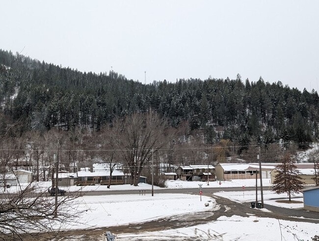 Building Photo - Dog-Friendly Orofino House