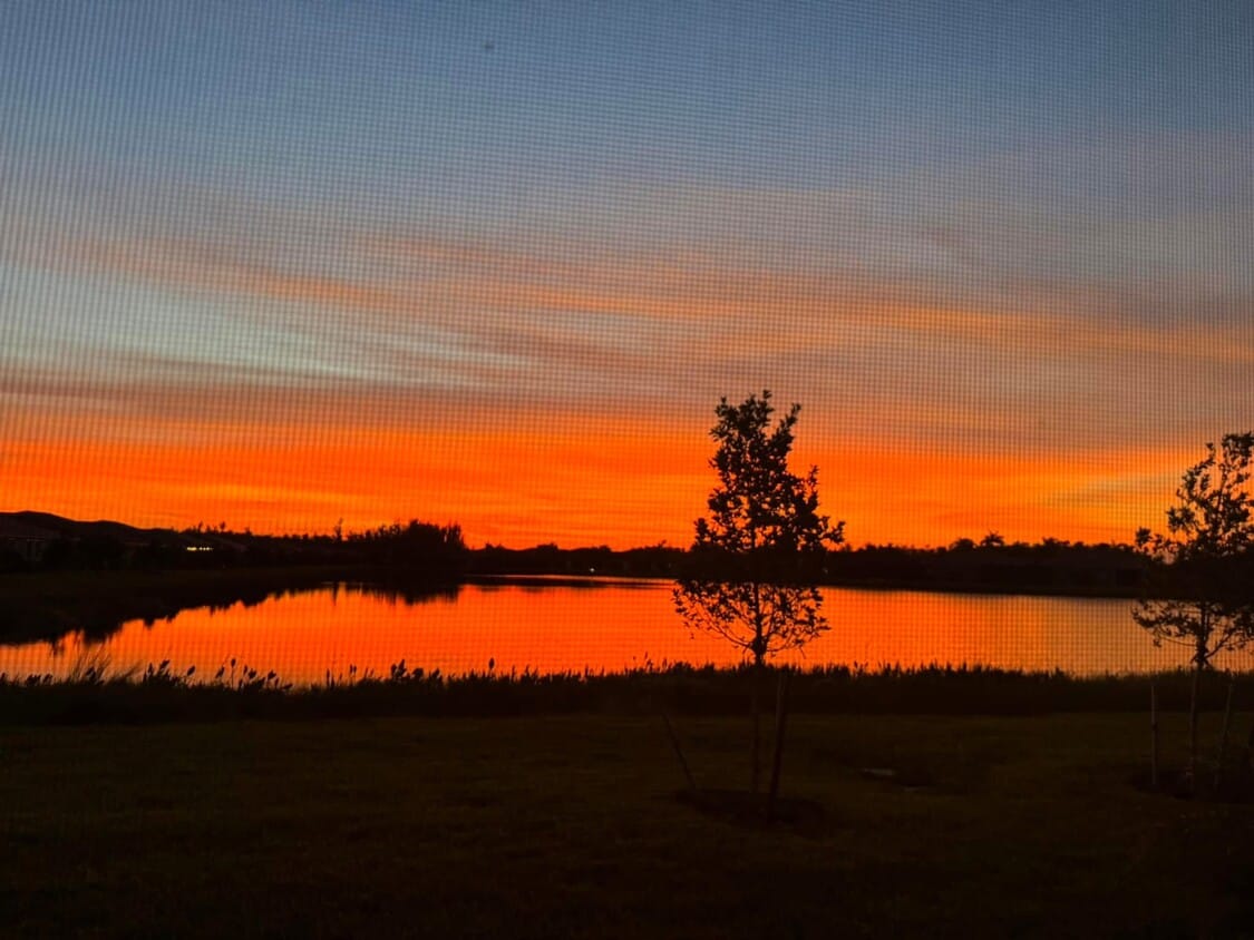 Lake view - 10288 Bonavie Cove Dr