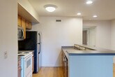 Located at 402 13th St NW in Charlottesville, VA, this single-floor, 3-bedroom, 2-bathroom unit offers a well-organized layout across a comfortable footprint. The open-concept kitchen and living area serves as the heart of the home, featuring warm hardwood flooring, recessed lighting, and a central kitchen island with a built-in sink and dark countertop. The kitchen is equipped with wood cabinetry, a stainless steel microwave, refrigerator, and electric range. The living room extends naturally from the kitchen, bathed in natural light from a set of glass doors that provide direct outdoor access and a ceiling fan overhead. The three bedrooms are carpeted and offer a quiet, comfortable atmosphere. Two of the bedrooms feature windows with horizontal blinds, while one benefits from a trio of windows that invite ample natural light. The primary bedroom is generously sized with its own window and private access to a closet. The two bathrooms include tile flooring; one features a full tub-shower combo with chrome fixtures, while the other includes a wall-mounted storage cabinet. A dedicated utility room and hallway complete the functional layout of this well-appointed Charlottesville residence.