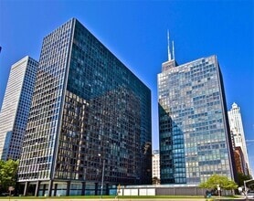Building Photo - 900 N Lake Shore Dr