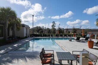 Outdoor Pool - The Mayfair