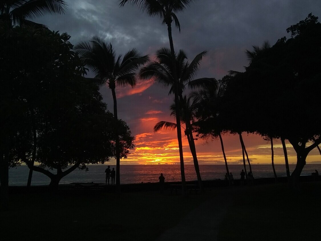 Primary Photo - 75-6081 Alii Dr