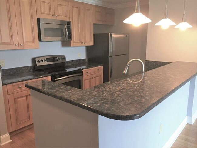 Building Photo - Upscale Living in Center City!