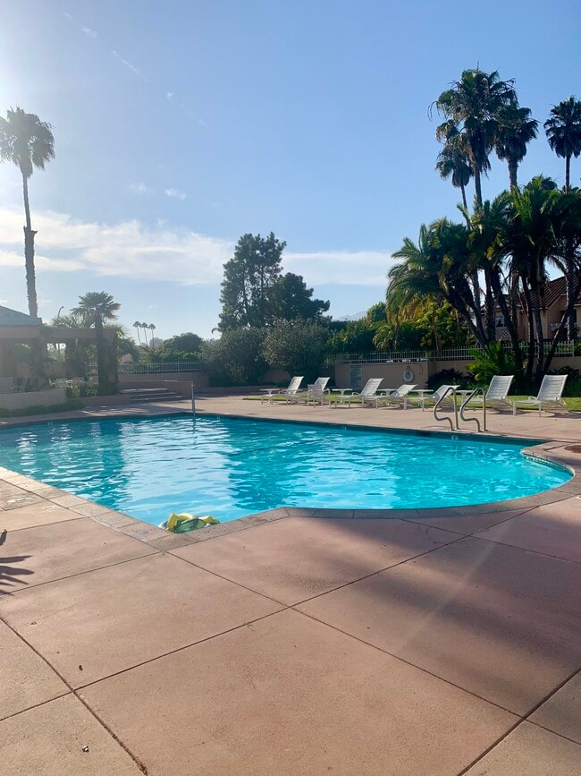 Pool - 7102 Phelps Rd