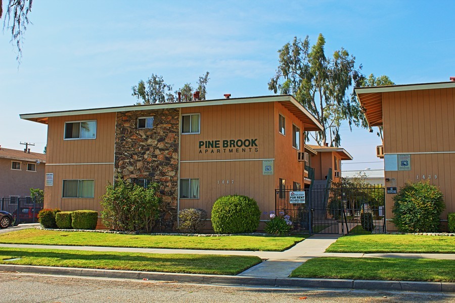 Primary Photo - Pine Brook