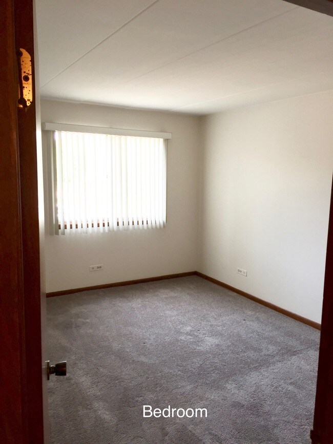 10210 Washington Ave Unit 204, Oak Lawn, IL 60453 Condo for Rent in