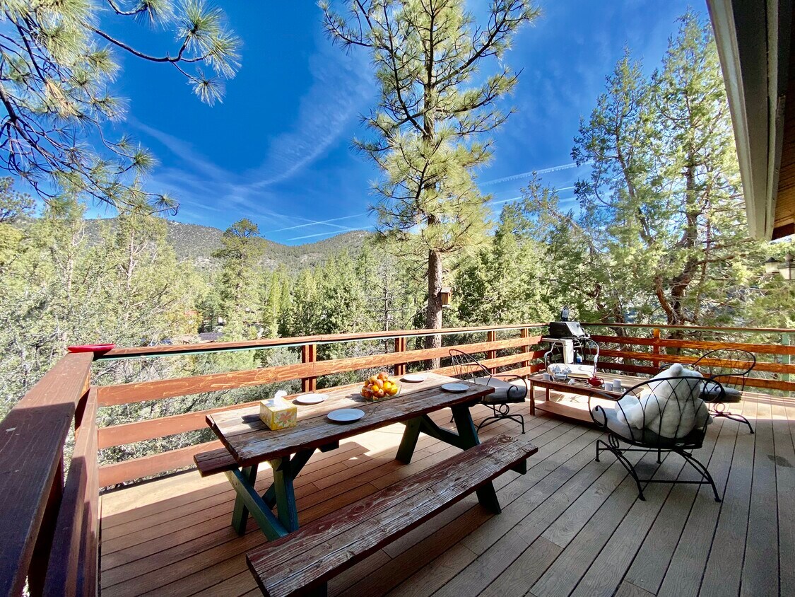 1051 Lookout Mountain Rd, Big Bear City, CA 92314 House Rental in Big