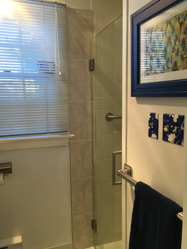 Large Shower - 555 Saulsbury St