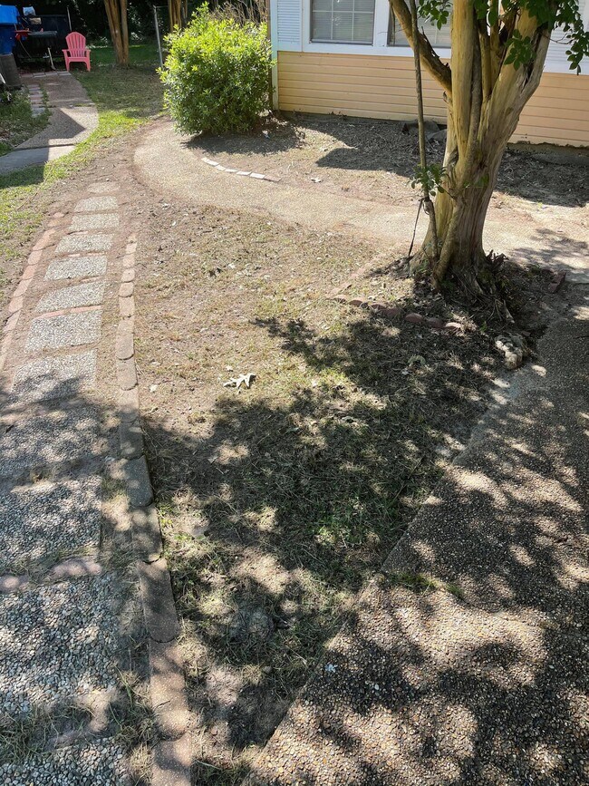 Foto del edificio - 220 Brendalwood Blvd