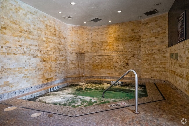 Spa - SYNC at Purgatory Creek