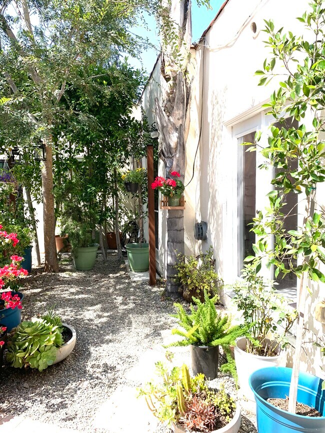 Jardín exterior - 605 N Windsor Blvd
