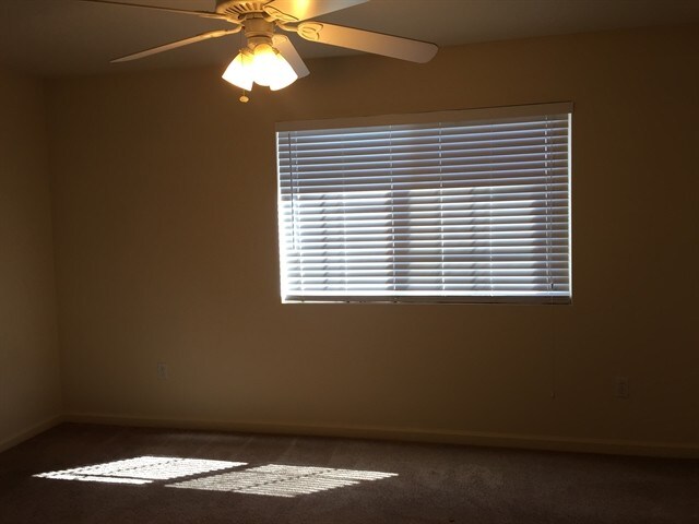 Foto del edificio - 7854 Cavalier Way