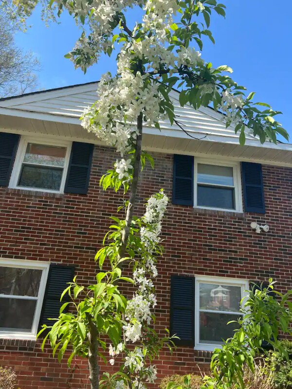 Foto del edificio - 9312 St Andrews Pl