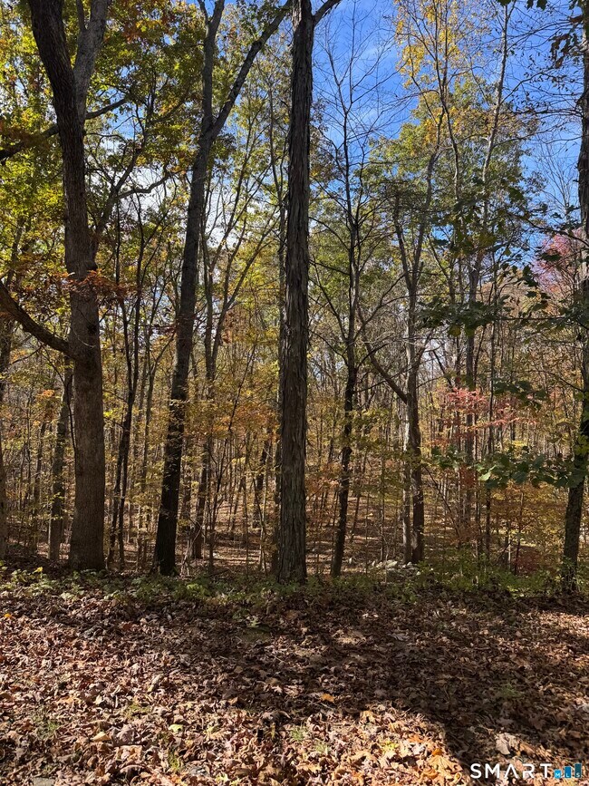 Foto del edificio - 87 Buff Cap Rd