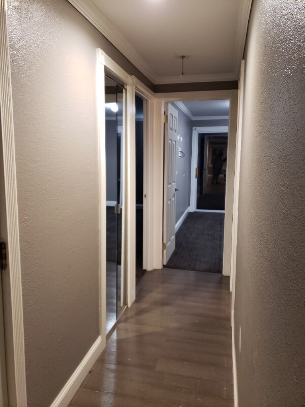 13031 Blakeslee Ct Unit A, Philadelphia, PA 19116 Room for Rent in