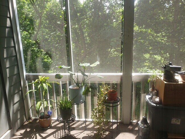 Foto del edificio - 3803 Florham Pl