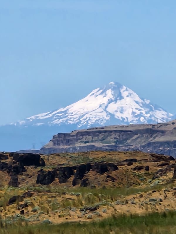 Foto del edificio - 710 Catskill St