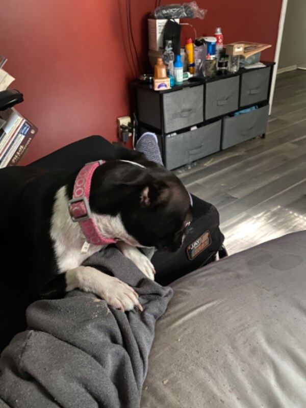 Foto del edificio - 4725 Colemont Pl