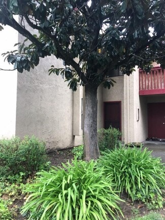 Building Photo - 19 Redwood Ct