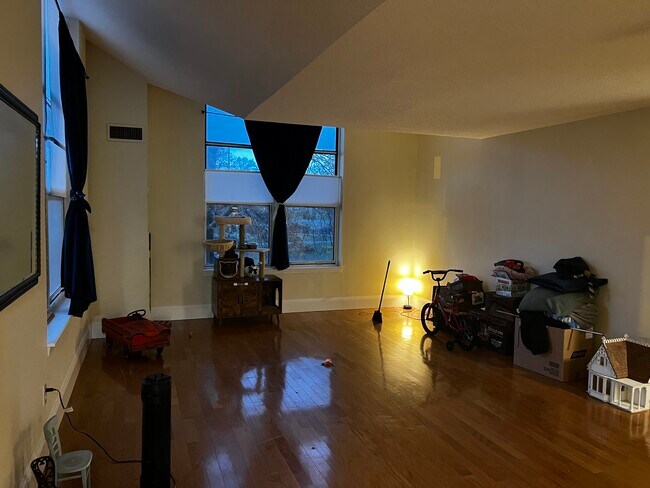 Foto del edificio - The Falls Loft