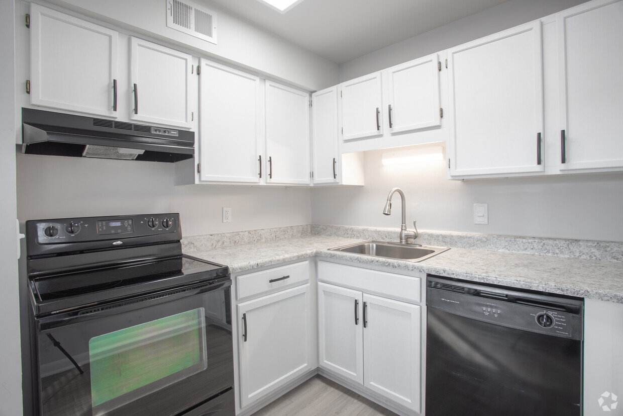 Gorgeous, Light and Airy, Completely Renovated Kitchens - Autumn Lakes Apartments