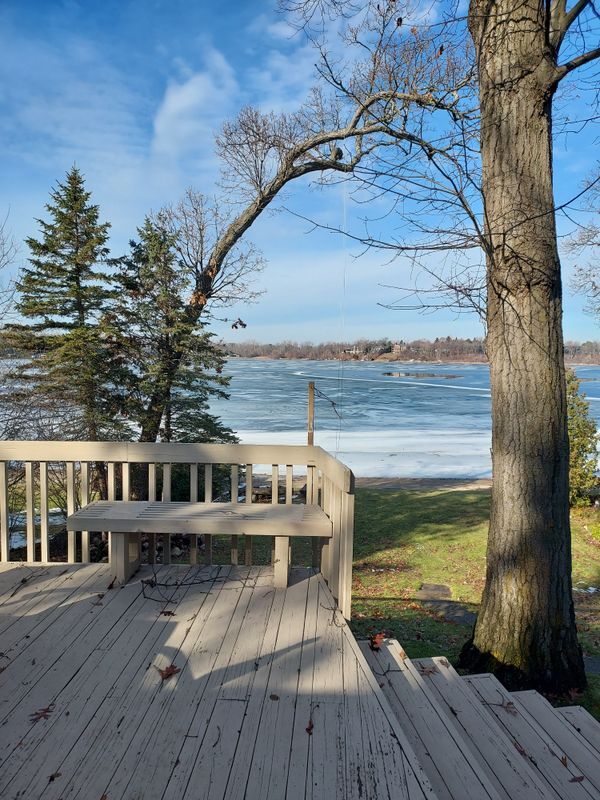 Building Photo - 1700 Hamilton Dr