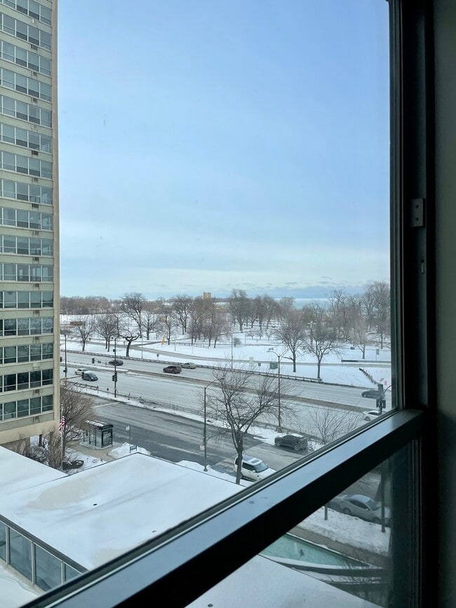 Building Photo - 3550 N Lake Shore Dr