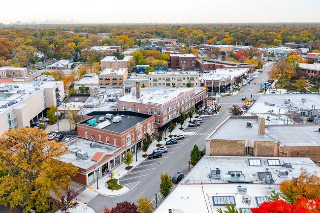 Aerial Photo - 1153 Wilmette Ave