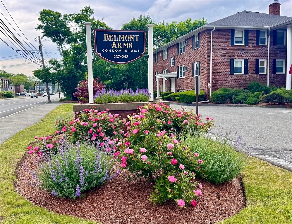 Primary Photo - 239 Main St