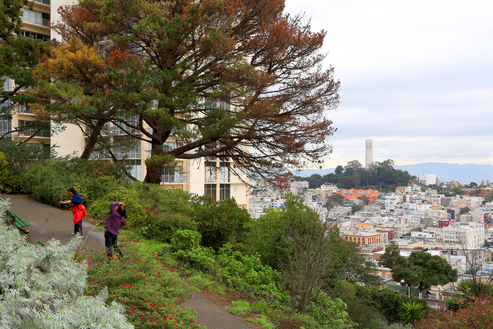 Russian Hill San Francisco Apartments