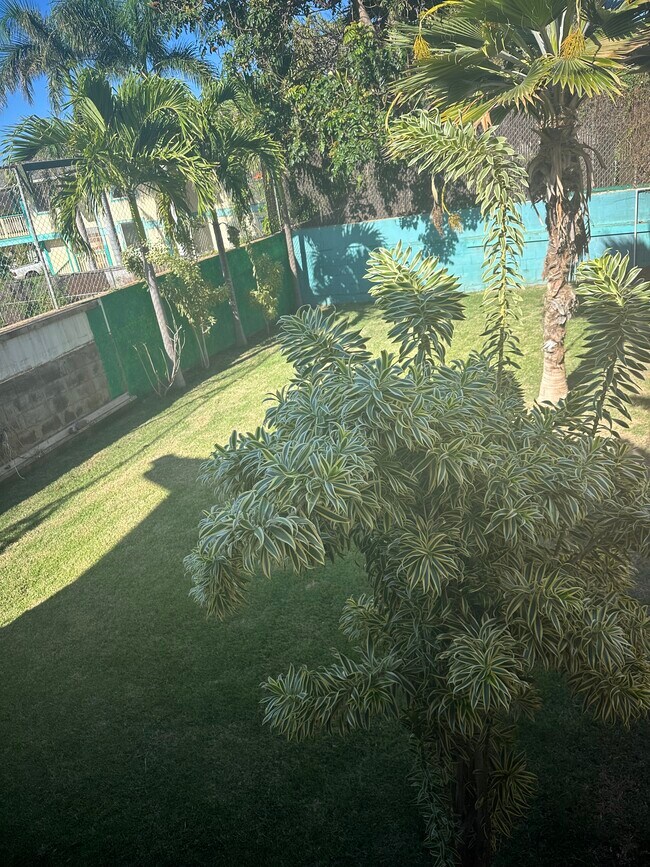 Foto del edificio - 154 Kupuna St